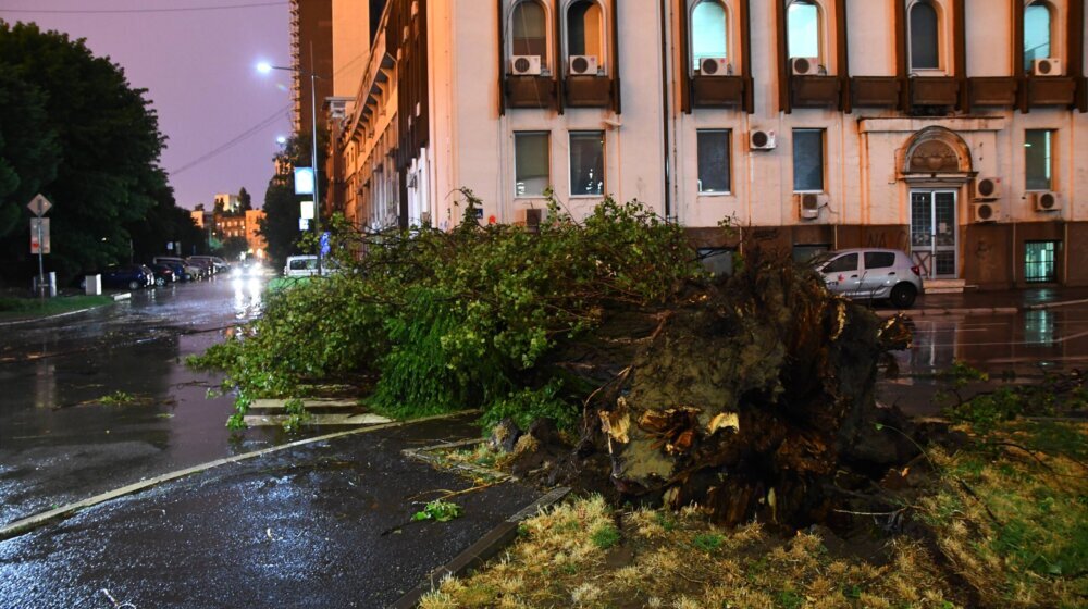 WWF: Nezapamćena oluja koja je pogodila region znak da je nužna promena načina života 1