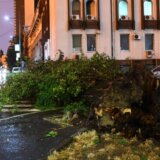 WWF: Nezapamćena oluja koja je pogodila region znak da je nužna promena načina života 10