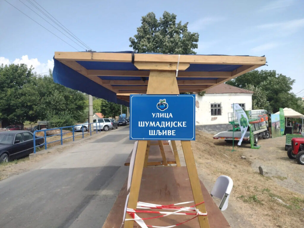 Tradicionalna manifestacija Šumadijski dani šljive u Stragarima 2