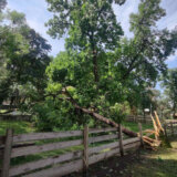 Apel Kragujevčanima za pomoć prilikom saniranja štete od nevremena u Eko parku Ilina voda (FOTO) 1