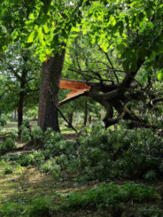 Apel Kragujevčanima za pomoć prilikom saniranja štete od nevremena u Eko parku Ilina voda (FOTO) 2