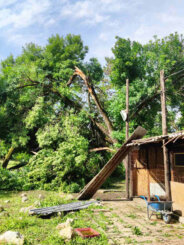 Apel Kragujevčanima za pomoć prilikom saniranja štete od nevremena u Eko parku Ilina voda (FOTO) 5