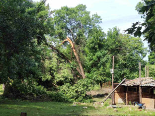 Apel Kragujevčanima za pomoć prilikom saniranja štete od nevremena u Eko parku Ilina voda (FOTO) 6