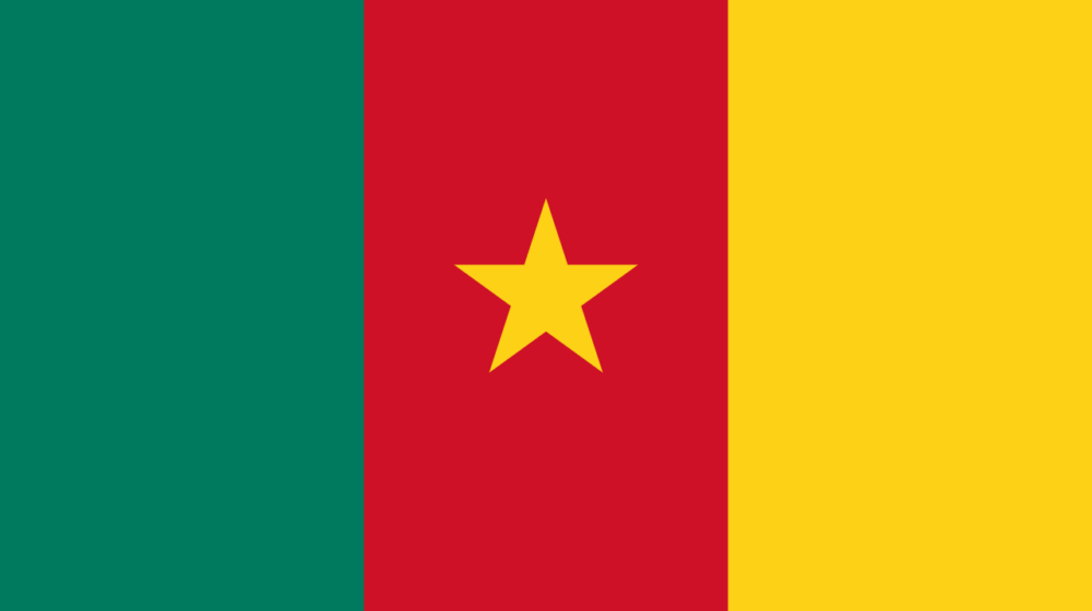 Broj poginulih u urušavanju zgrade u Kamerunu se povećao na 33, spasioci još tragaju za preživelima 1