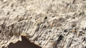 Izložba australijskog umetnika u užičkom Reflektoru: Istraživanje zvuka kao traga prošlosti 2 Izložba australijskog umetnika u užičkom Reflektoru: Istraživanje zvuka kao traga prošlosti 2