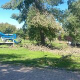 Iz novosadskog "Zelenila" pozivaju na strpljenje i najavljuju za sutra otvaranje Štranda: Građani na svoju odgovornost ulaze u parkove koji ne rade već sedam dana 1