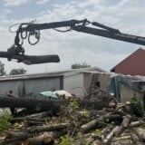 Novi Sad: Gradsko zelenilo posle oluje imalo 1.900 intervencija, novo drveće sadi se na jesen 5