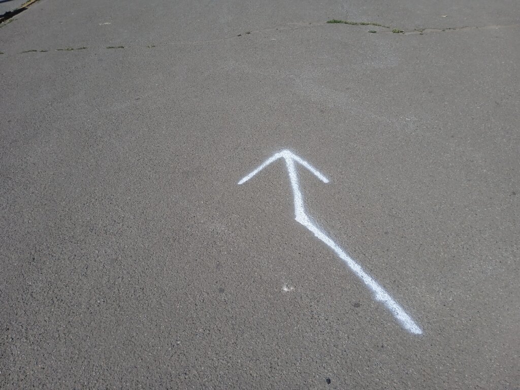 (FOTO) Pasarelom koja spaja "podeljenu" Suboticu 3