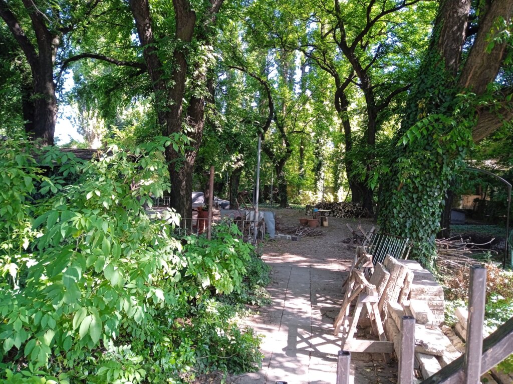 (FOTO) Pasarelom koja spaja "podeljenu" Suboticu 5