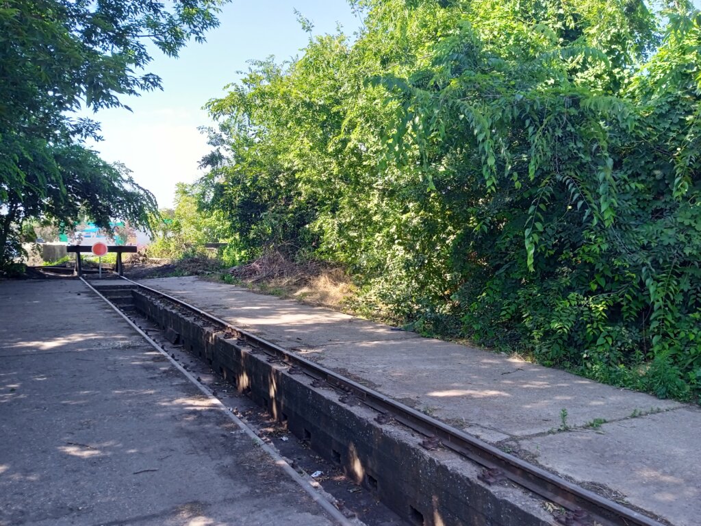 (FOTO) Pasarelom koja spaja "podeljenu" Suboticu 12