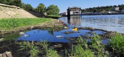 Kanalizacija, Sava Izliva se kanalizacija prekoputa Beograda na vodi: "Situacija sve gora a fekalije su na sve strane" (FOTO) 2