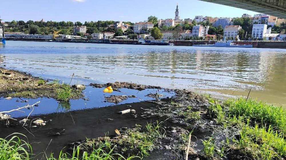 Izliva se kanalizacija prekoputa Beograda na vodi: "Situacija sve gora a fekalije su na sve strane" (FOTO) 1