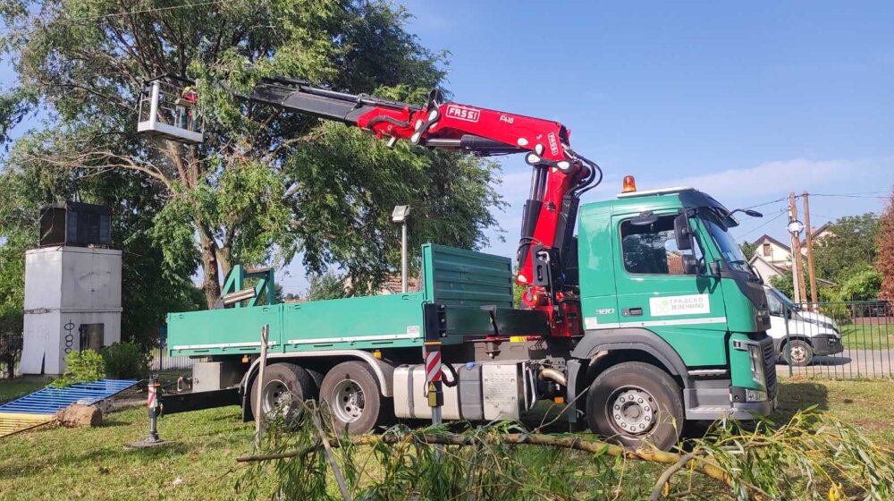 DS Novi Sad: Pomoćnik direktora "Zelenila" uhapšen zbog mašine koja može da izvadi stablo iz zemlje 1