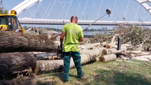 "Zelenilo" krčilo stabla i pale grane na skoro 150 lokacija u Novom Sadu, za desetak dana gotova kompletna sanacija (FOTO) 14