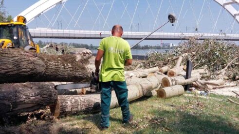 IMG_6488 "Zelenilo" krčilo stabla i pale grane na skoro 150 lokacija u Novom Sadu, za desetak dana gotova kompletna sanacija (FOTO) 14