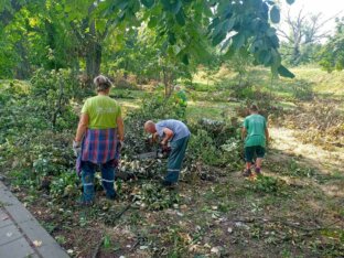 "Zelenilo" krčilo stabla i pale grane na skoro 150 lokacija u Novom Sadu, za desetak dana gotova kompletna sanacija (FOTO) 10