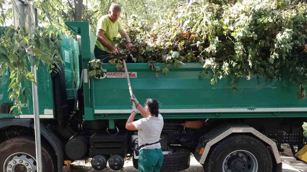 Stanari zaustavili seču drveća na Vračaru 1