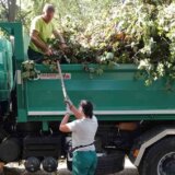 Stanari zaustavili seču drveća na Vračaru 3