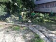 "Zelenilo" krčilo stabla i pale grane na skoro 150 lokacija u Novom Sadu, za desetak dana gotova kompletna sanacija (FOTO) 8