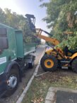 "Zelenilo" krčilo stabla i pale grane na skoro 150 lokacija u Novom Sadu, za desetak dana gotova kompletna sanacija (FOTO) 4