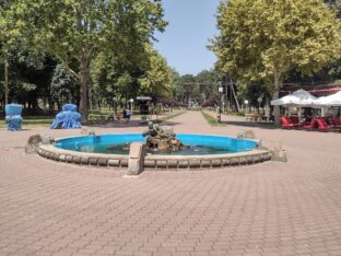 "Izraz 'pasja vrućina' danas i ovde je 'apgrejdovan'": Kako Kragujevčani "odolevaju" Luciferu i Kerberu (FOTO) 2