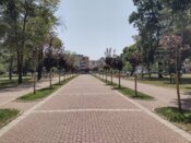 "Izraz 'pasja vrućina' danas i ovde je 'apgrejdovan'": Kako Kragujevčani "odolevaju" Luciferu i Kerberu (FOTO) 3