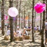 Poznat kompletan program Mountain Music Festa 10