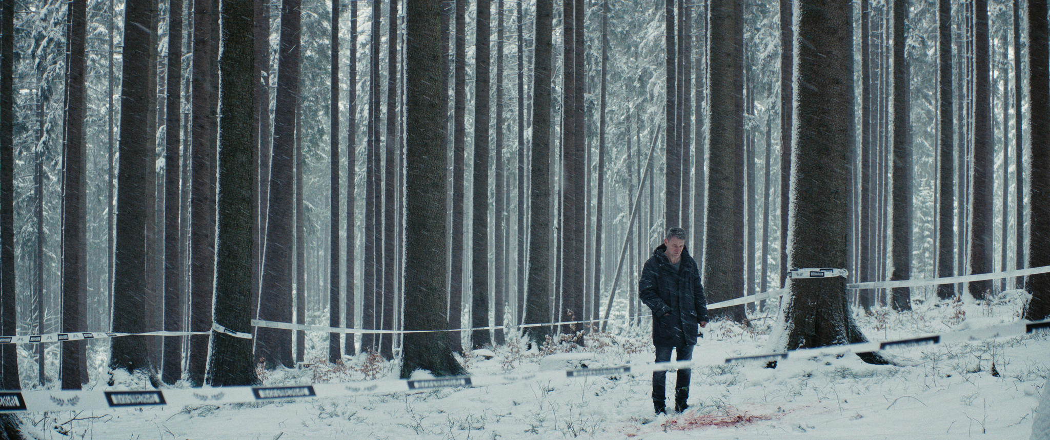 Program četvrtog dana 30. Festivala evropskog filma Palić : “Ingeborg Bahman - Putovanje u pustinju” Margaret Fon Trote i “Nula kalorija” Džesike Hausner 2 Program četvrtog dana 30. Festivala evropskog filma Palić : “Ingeborg Bahman - Putovanje u pustinju” Margaret Fon Trote i “Nula kalorija” Džesike Hausner 2