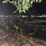 U Novom Sadu drvo palo na trafiku, nakon akcije spasavanja izvučena radnica 5