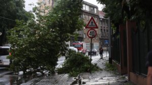 Više intervencija zbog nevremena u Zagrebu, jedna osoba lakše povređena prilikom pada grane 1