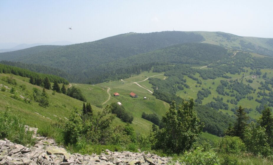 Centar za lokalnu samoupravu apelovao na zaštiti planine Golije 1