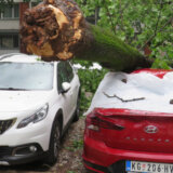 Otklanjanje posledica nevremena u Kragujevcu (FOTO) 6