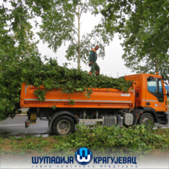 Otklanjanje posledica nevremena u Kragujevcu (FOTO) 5