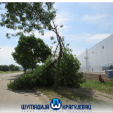 Posledice nevremena Kragujevac 04 Otklanjanje posledica nevremena u Kragujevcu (FOTO) 4