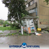 Otklanjanje posledica nevremena u Kragujevcu (FOTO) 3