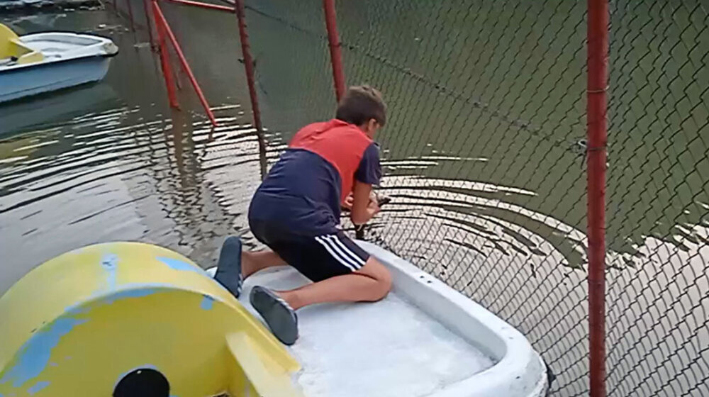 (VIDEO) Plemenit gest užičkog dečaka: Oslobodio ribu koja se zaglavila u metalnoj mreži na Đetinji 1