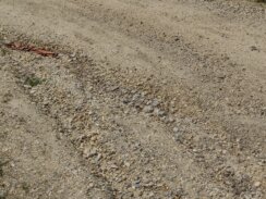 "Nošenje belih starki - misaona imenica": Tarina ulica u Kragujevcu već sedmu deceniju bez infrastrukture (FOTO) 2