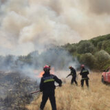 Srpski vatrogasci-spasioci u Grčkoj gase požare na teritoriji grada Volosa 8