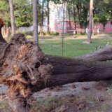 Pustoš kao u Tolkinovom Isengardu: Kragujevački Veliki park stradao od oluje (FOTO) 5