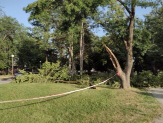 Pustoš kao u Tolkinovom Isengardu: Kragujevački Veliki park stradao od oluje (FOTO) 2