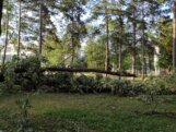 Pustoš kao u Tolkinovom Isengardu: Kragujevački Veliki park stradao od oluje (FOTO) 13