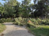 Pustoš kao u Tolkinovom Isengardu: Kragujevački Veliki park stradao od oluje (FOTO) 23
