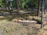 Pustoš kao u Tolkinovom Isengardu: Kragujevački Veliki park stradao od oluje (FOTO) 24