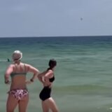 Dramatičan susret s ajkulom u plićaku: Ljudi su vrištali i bežali ka plaži 1