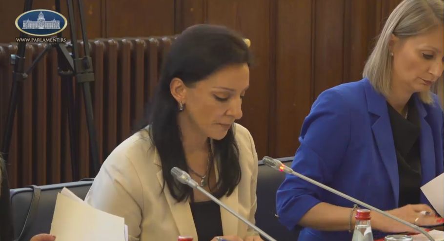 Druga sednica Anketnog odbora o dva masovna ubistva: Da li treba nastaviti s radom posle izjave roditelja? 1