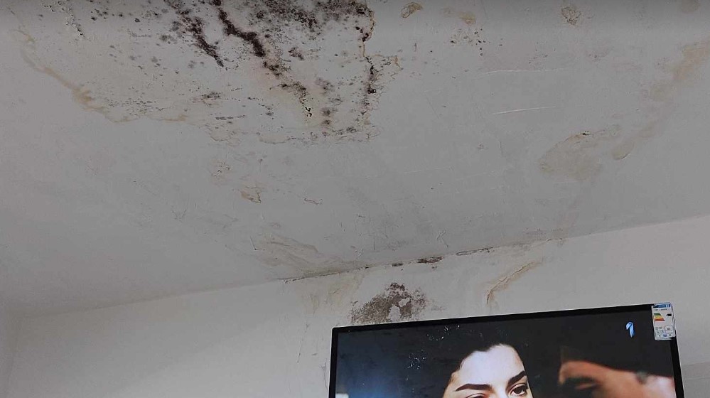 Plate ne primaju od aprila, a račun u blokadi: Štrajk upozorenja u Specijalnoj bolnici za rehabilitaciju "Gamzigrad" kod Zaječara 8 Plate ne primaju od aprila, a račun u blokadi: Štrajk upozorenja u Specijalnoj bolnici za rehabilitaciju "Gamzigrad" kod Zaječara 8