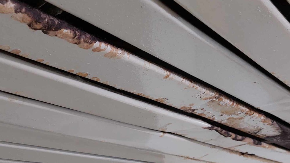 Plate ne primaju od aprila, a račun u blokadi: Štrajk upozorenja u Specijalnoj bolnici za rehabilitaciju "Gamzigrad" kod Zaječara 6 Plate ne primaju od aprila, a račun u blokadi: Štrajk upozorenja u Specijalnoj bolnici za rehabilitaciju "Gamzigrad" kod Zaječara 6