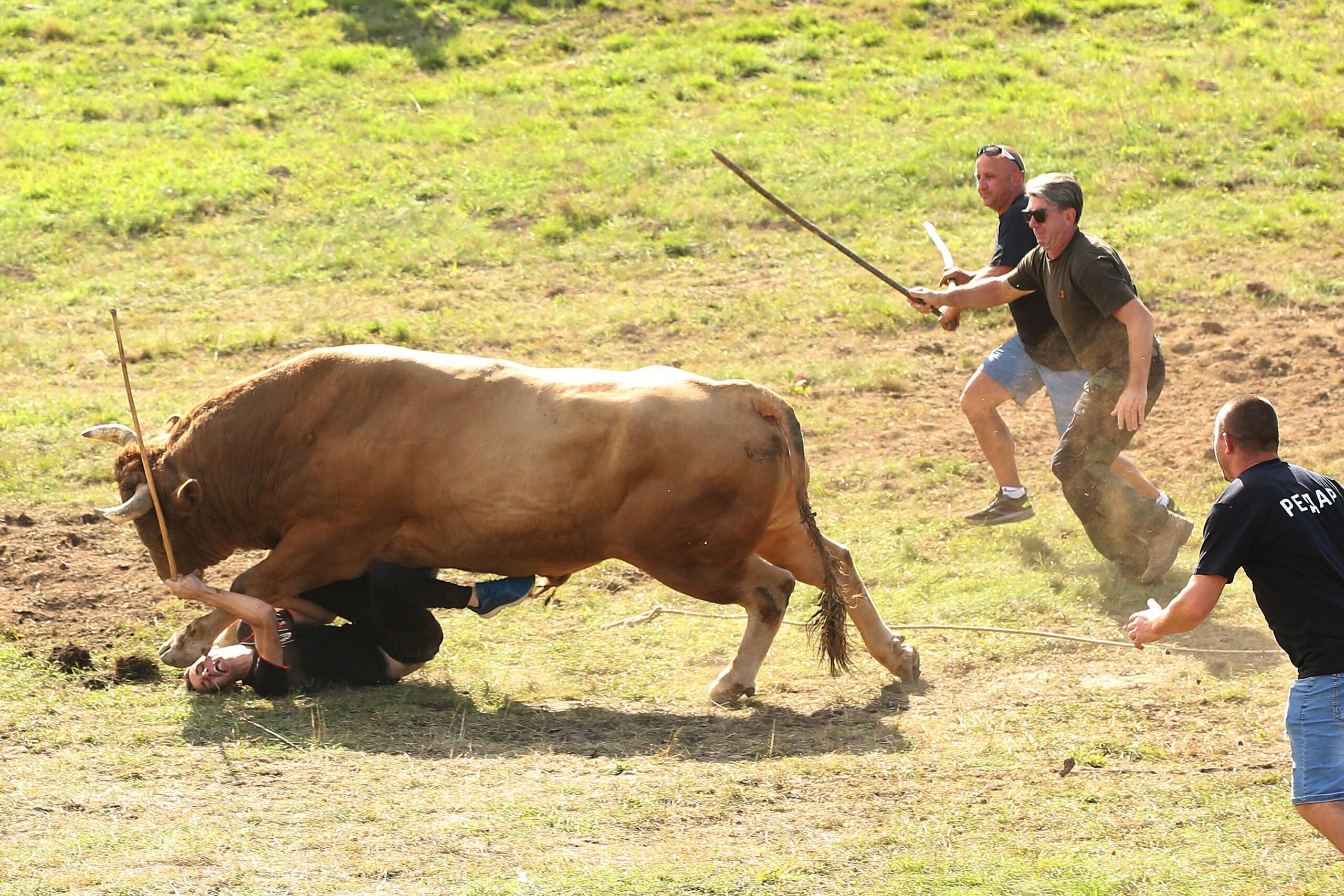Uručene nagrade na jubilarnom konkursu za Betinu fotografiju godine i nagrade "Dragan Janjić" 2 Uručene nagrade na jubilarnom konkursu za Betinu fotografiju godine i nagrade "Dragan Janjić" 2