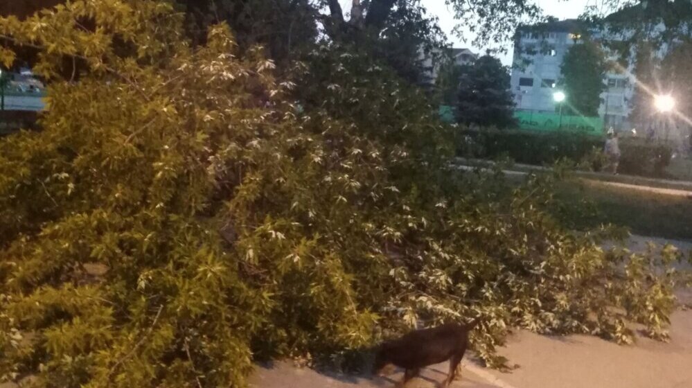 U Nišu večeras olujno nevreme i grad 1