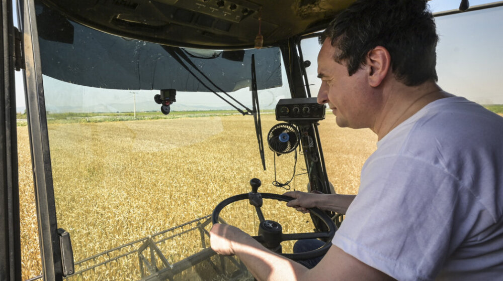 Kurti žanje žito posle polivanja vodom u Skupštini 1
